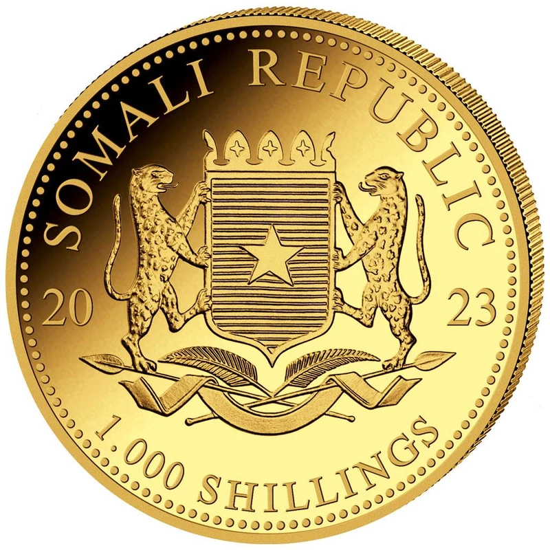 Moneta d'oro della Somalia 