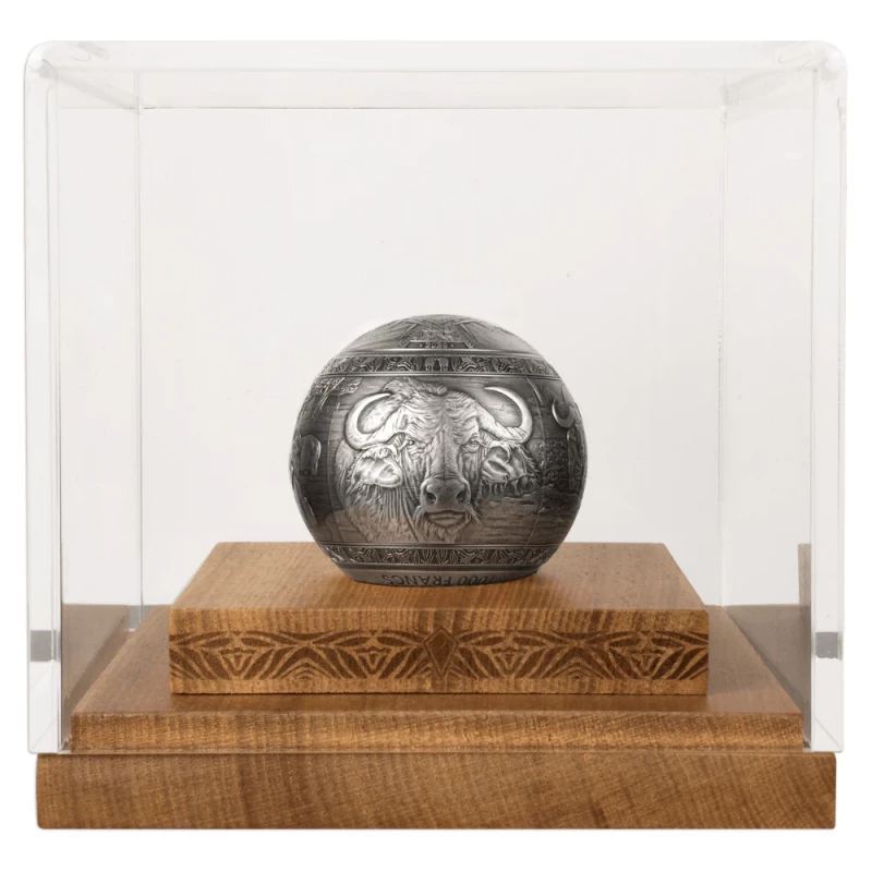 Moneta d'argento Gibuti Buffalo 2024 1 Kg Monete da collezione