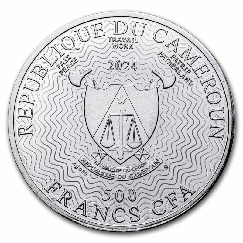 Camerun: moneta d'argento Starry night 2024 Proof 17,5 g Monete da collezione
