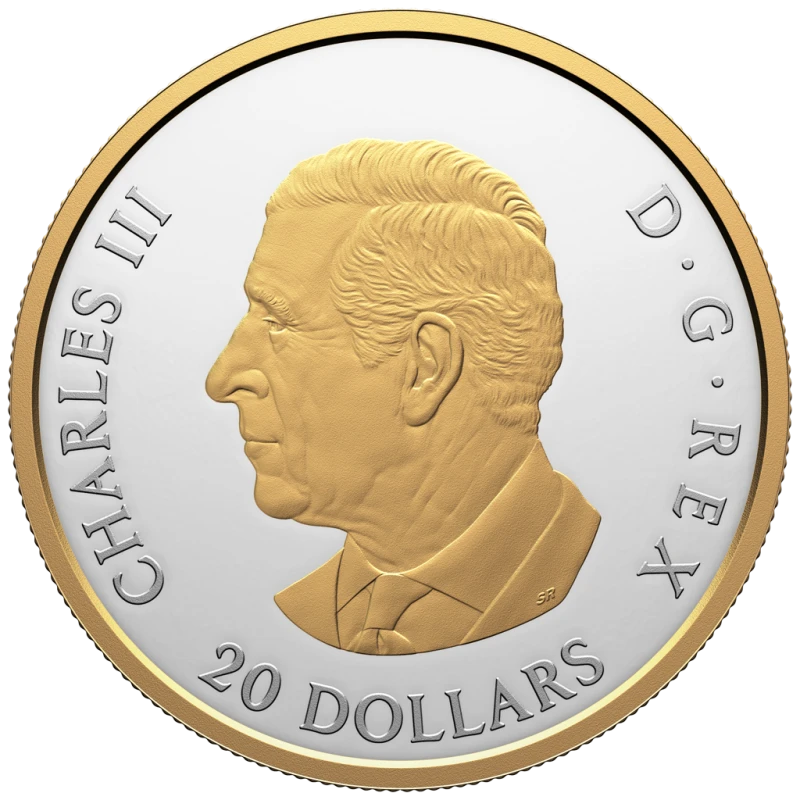 Canada: silver coin Polar bear 2025 Proof gilded 1 oz Collectible coins