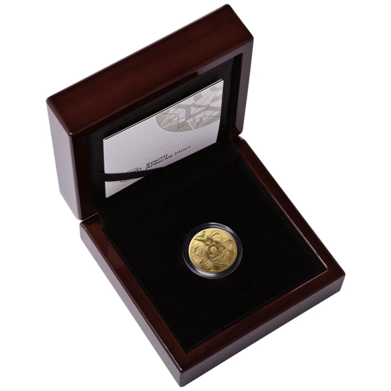 Sudafrica: moneta d'oro Leone 2025 Proof 1/4 oz Monete da collezione