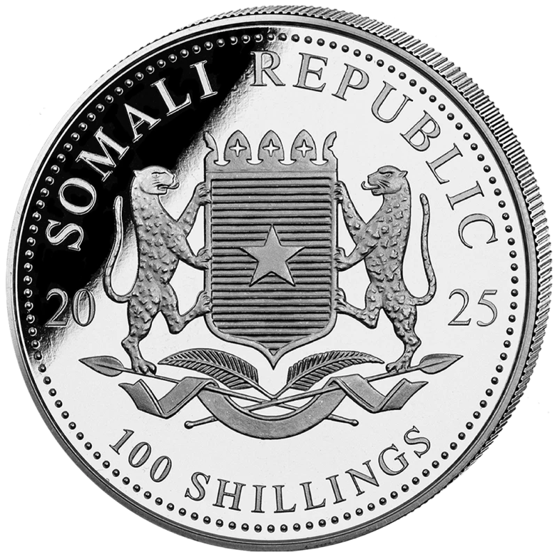 Moneta d'argento della Somalia Animali selvatici africani Leopardo 2025 Dorato 1 oncia Monete da collezione