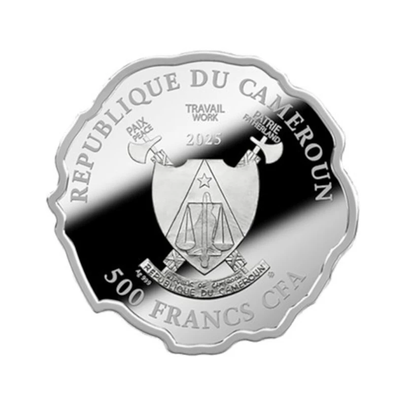 Camerun: moneta d'argento Born to be happy 2025 Proof 16,81 g Monete da collezione