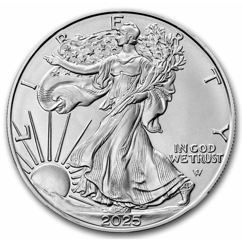 USA Silver Bullion Coin American Eagle Type 2 1 oz Investment coins