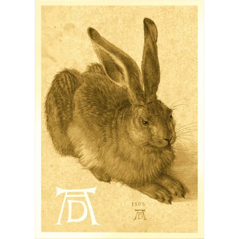 Ciad: moneta d'oro Una giovane lepre 1/1000 oz Monete da collezione