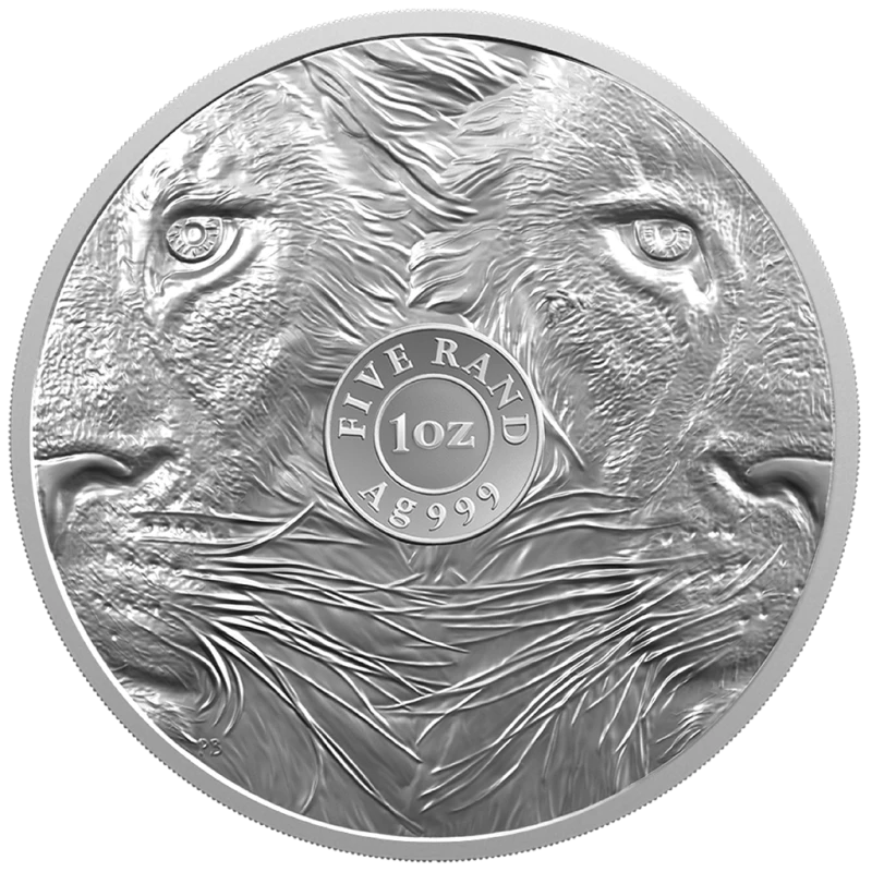 Sudafrica: monete d'argento Leone e Krugerrand 2025 Proof set da 2 once Monete da collezione