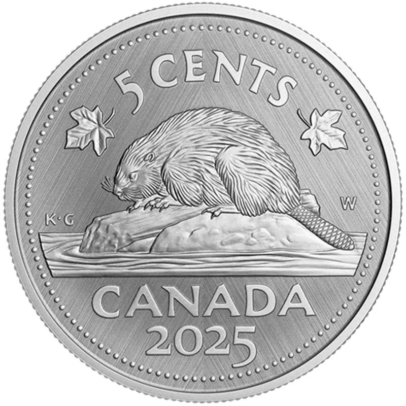 Canada: moneta d'argento Beaver 2025 da 1 oncia Monete da collezione