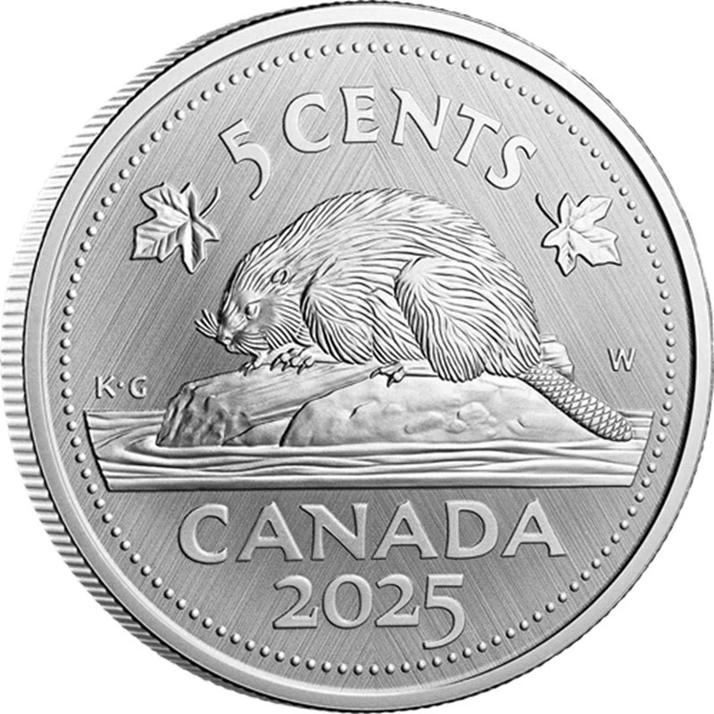 Canada: moneta d'argento Beaver 2025 da 1 oncia Monete da collezione