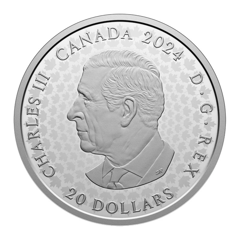 Canada: moneta d'argento Cougar 2024 Proof 1 oncia Monete da collezione