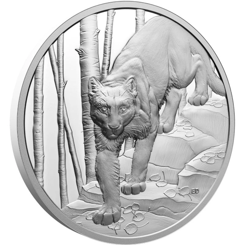 Canada: moneta d'argento Cougar 2024 Proof 1 oncia Monete da collezione