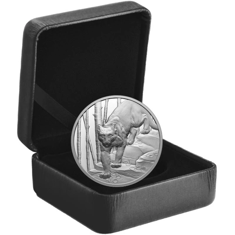 Canada: moneta d'argento Cougar 2024 Proof 1 oncia Monete da collezione