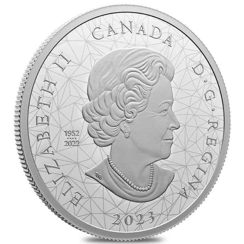 Canada: silver coin Grizzly Bears 2023 Proof 2 oz Collectible coins