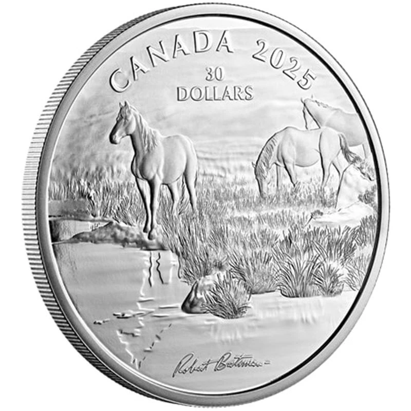 Canada: moneta d'argento Mustang Country 2025 Proof da 2 once Monete da collezione