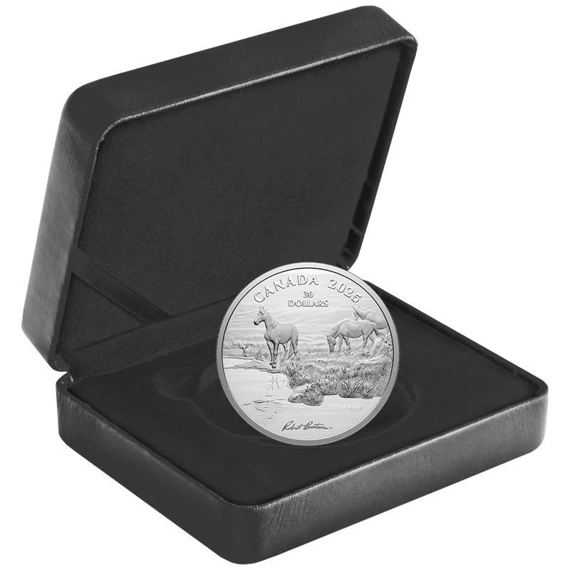 Canada: moneta d'argento Mustang Country 2025 Proof da 2 once Monete da collezione