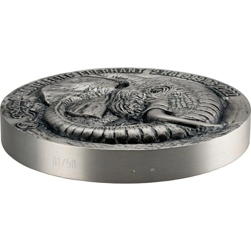 Repubblica della Costa d'Avorio: moneta d'argento Elefante 2022 2000 g Monete da collezione