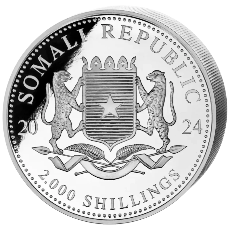Moneta d'argento della Somalia - Fauna selvatica africana - Leopardo 2024 1000 g Monete da collezione