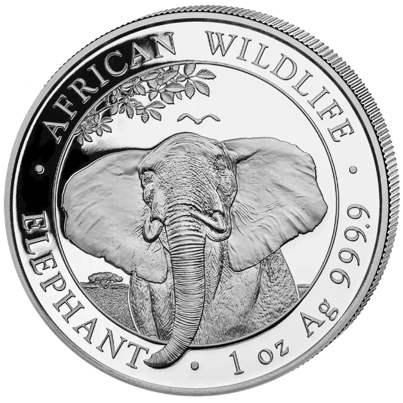 Moneta da investimento d'argento Somalia African Wildlife Elephant 2021 1 oncia Monete investimento