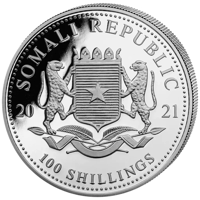 Moneta da investimento d'argento Somalia African Wildlife Elephant 2021 1 oncia Monete investimento