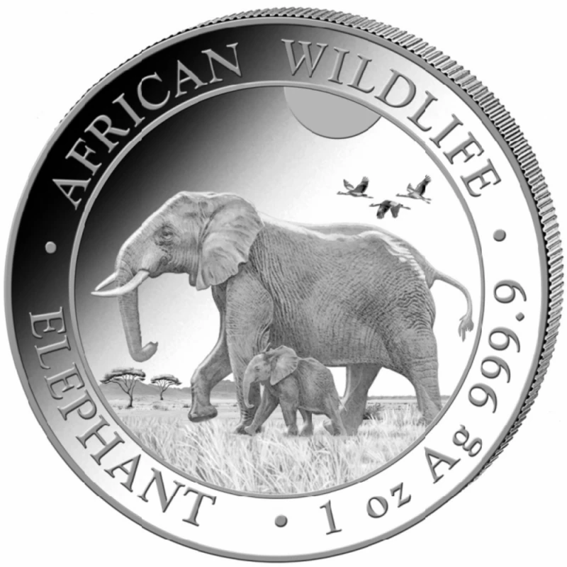 Moneta da investimento d'argento Somalia African Wildlife Elephant 2022 1 oncia Monete investimento