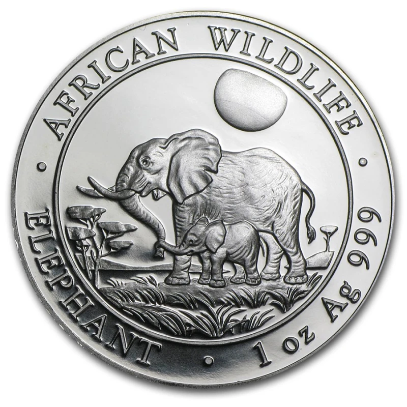 Moneta da investimento d'argento Somalia African Wildlife Elephant 2011 1 oncia Monete investimento