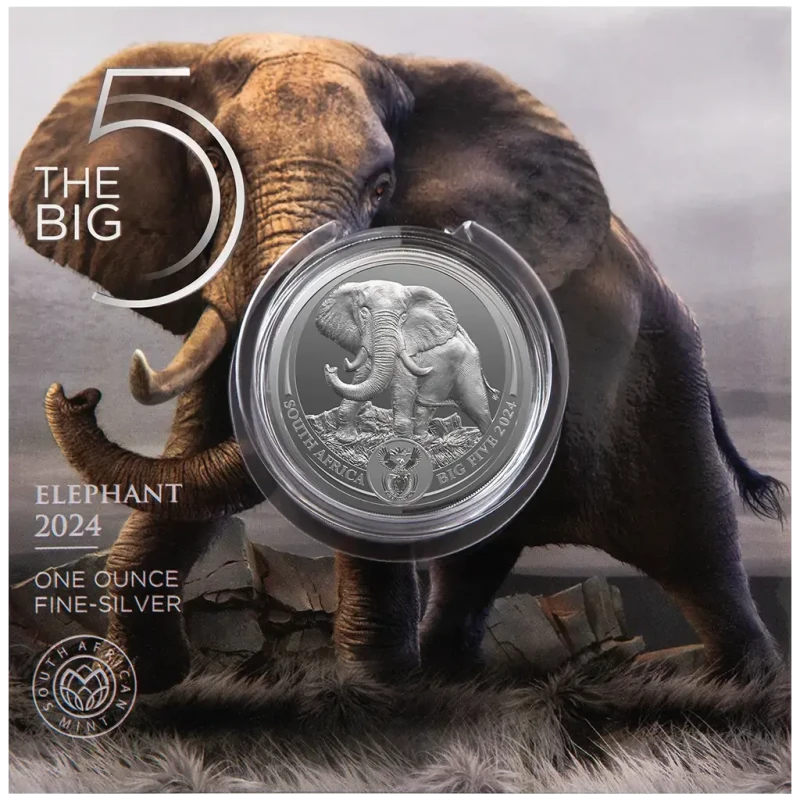 Moneta d'argento Sudafrica Elefante 2024 1 oncia Monete da collezione