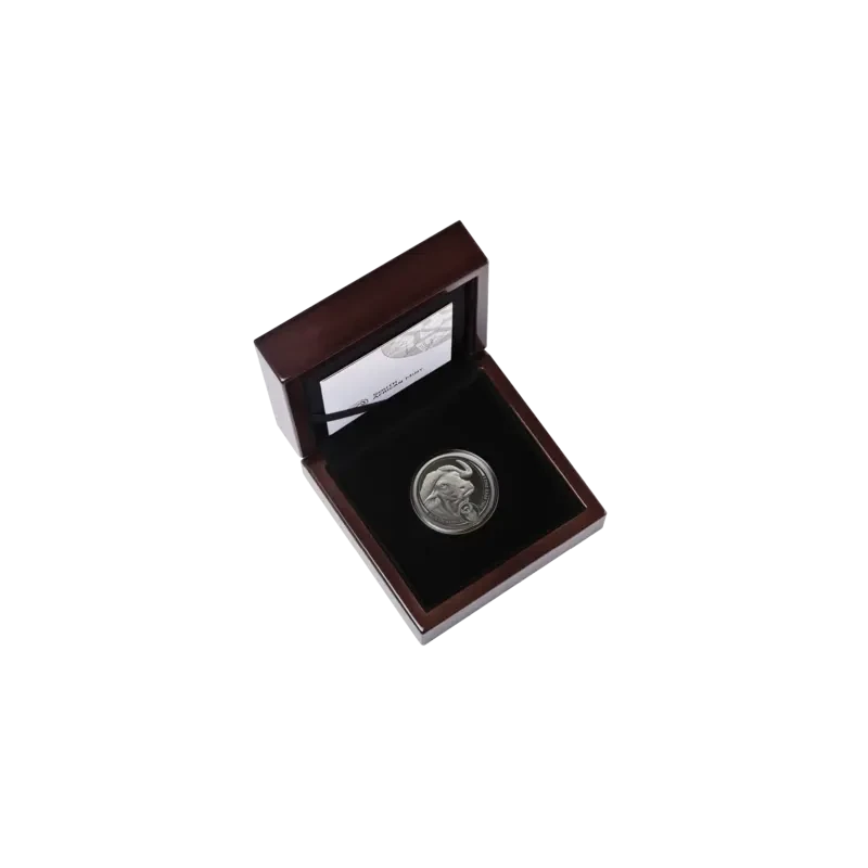 Moneta di platino del Sudafrica Buffalo 2023 Proof da 1 oncia Monete da collezione
