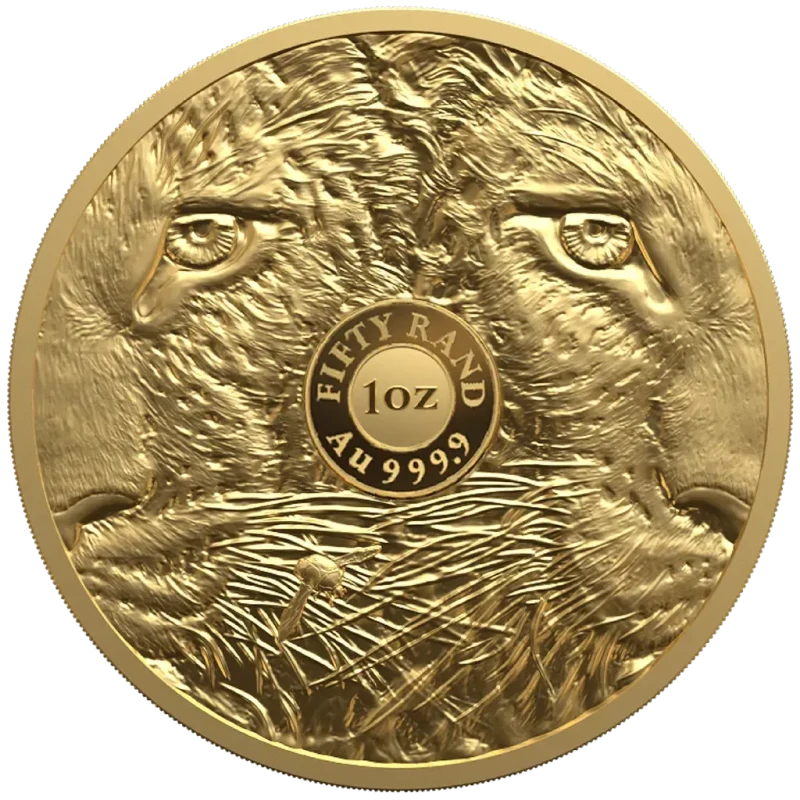 Moneta d'oro del Sudafrica Big Five III Leopard 2026 Proof 1 oncia Monete da collezione