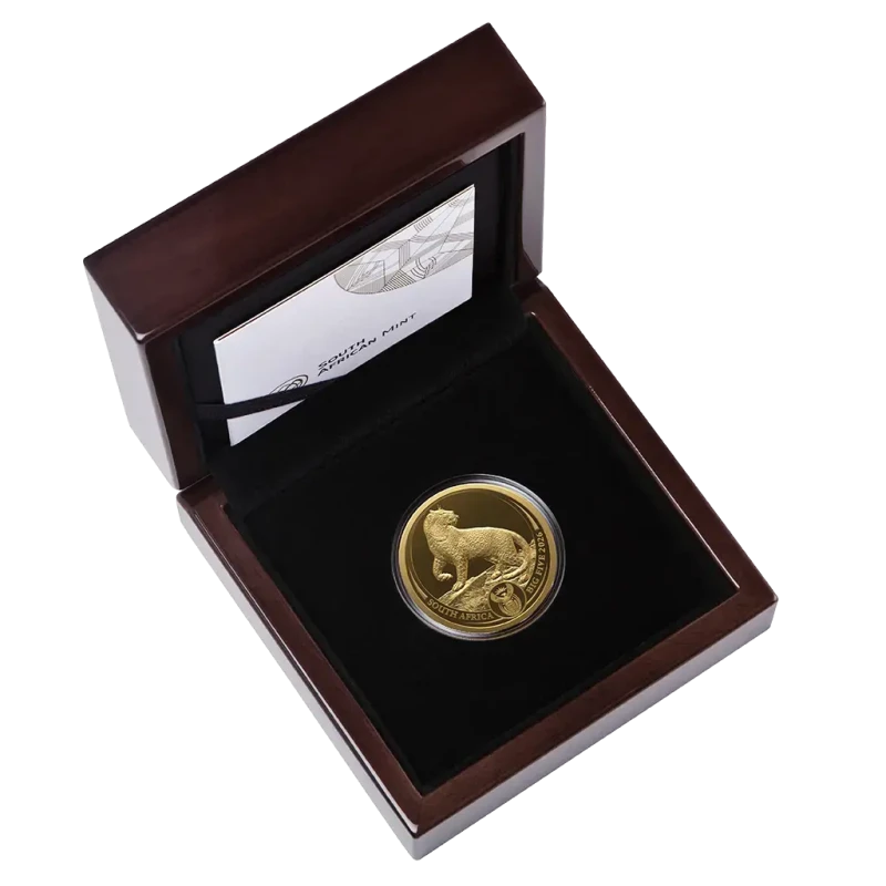 Moneta d'oro del Sudafrica Big Five III Leopard 2026 Proof 1 oncia Monete da collezione