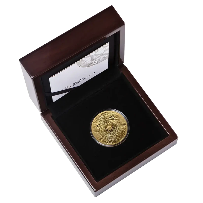 Moneta d'oro del Sudafrica Big Five III Leopard 2026 Proof 1 oncia Monete da collezione