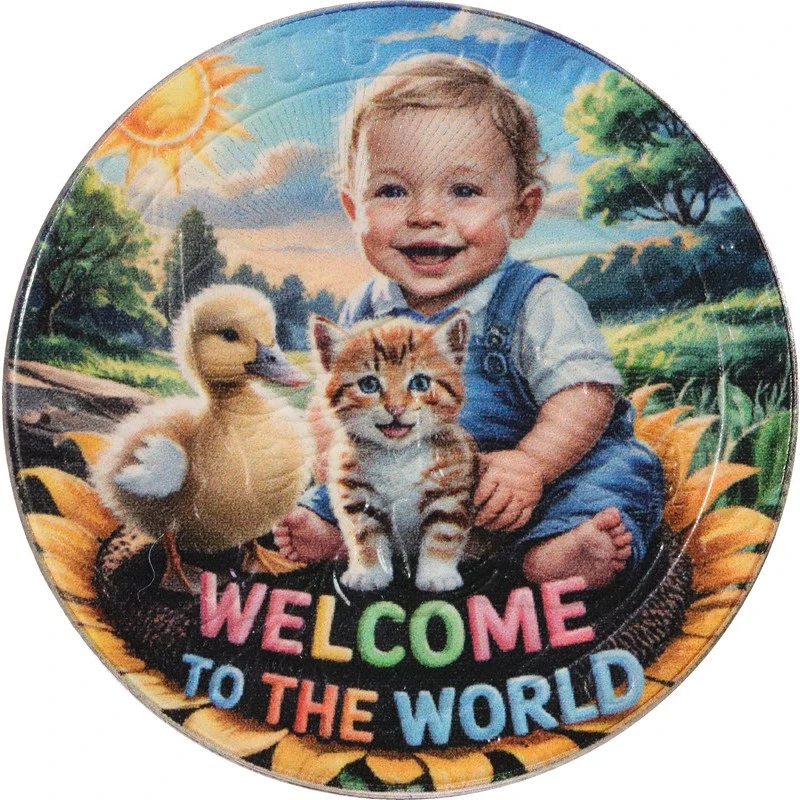 Armenia Silver Coin Noah’s Ark Baby Boy 2025 Colored 1 oz Collectible coins