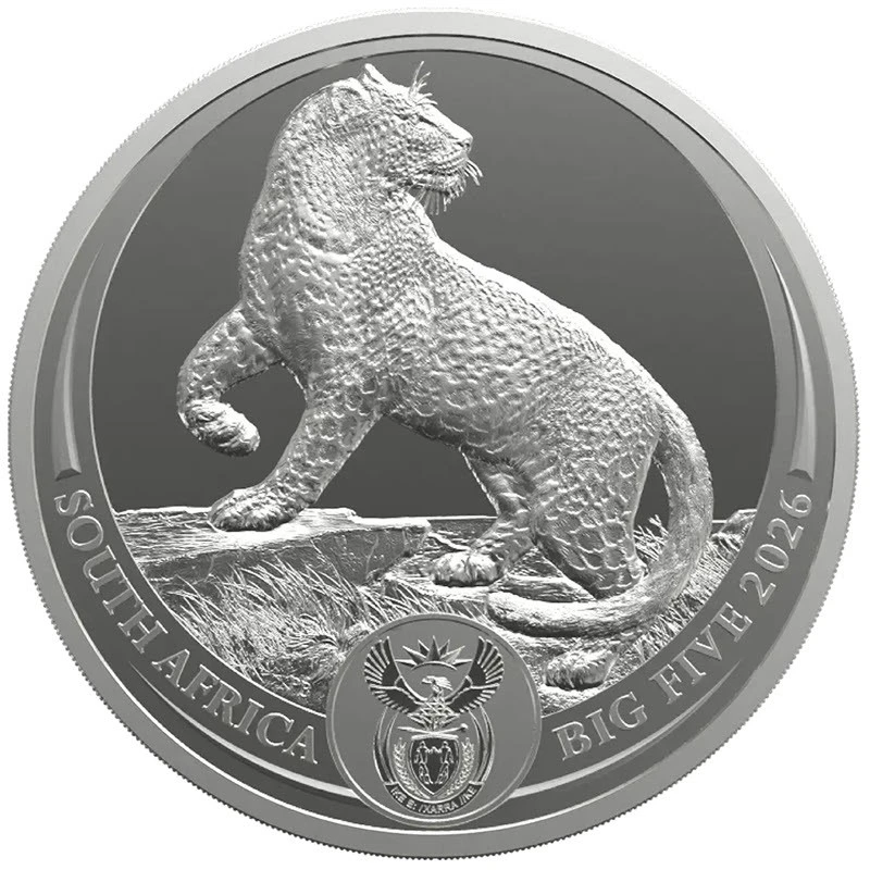 Moneta d'argento del Sudafrica Leopardo 2026 da 1 oncia Monete da collezione