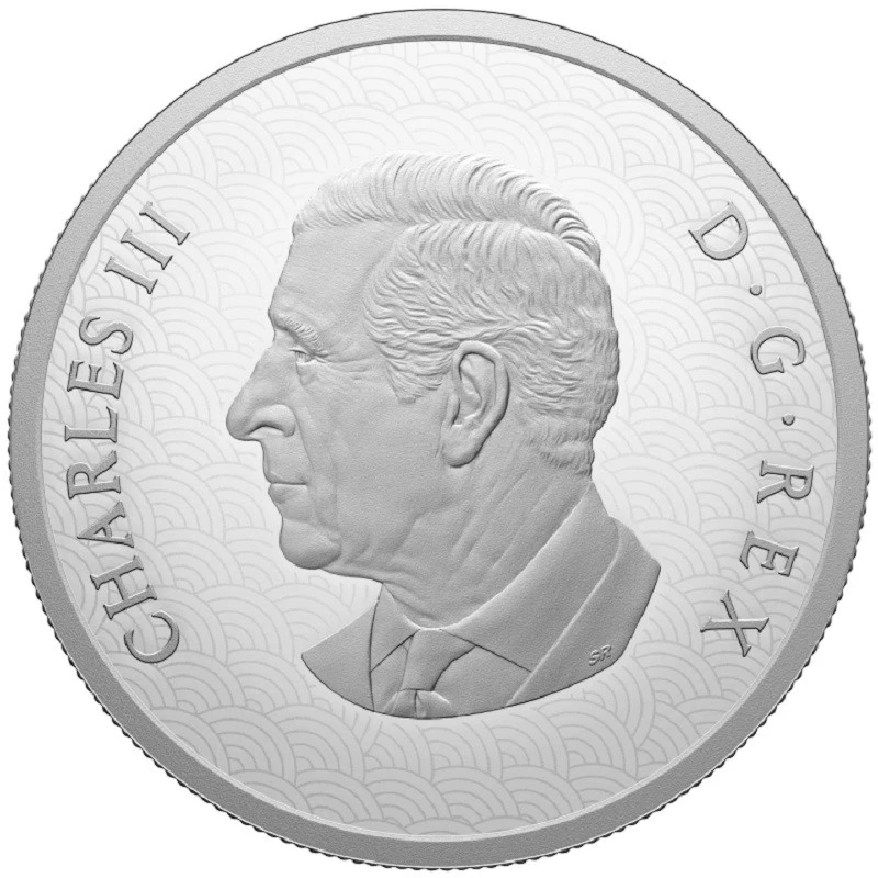 Moneta d'argento del Canada Anno del Serpente 2025 Proof 1 oncia Monete da collezione